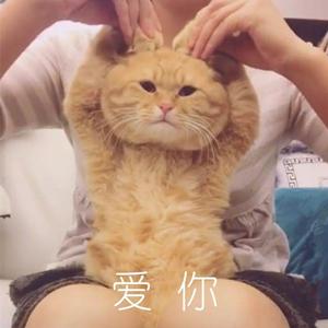 猫能跳2米高？我居然信了科学家的鬼话……