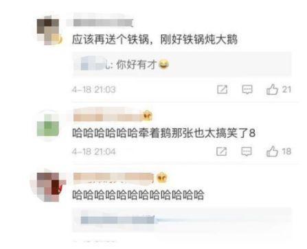 保剑锋被粉丝送鹅的具体情况介绍