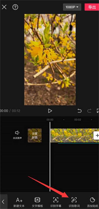剪映怎么识别歌词图4