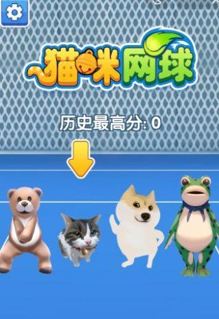 猫咪网球官方版图3