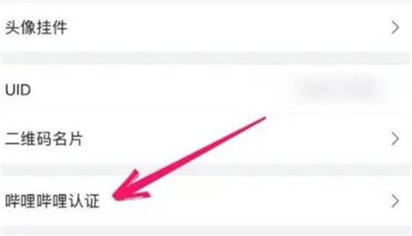 哔哩哔哩怎么进行身份认证图2