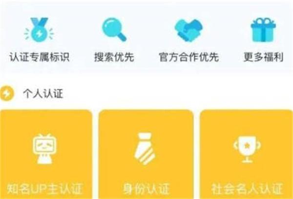 哔哩哔哩怎么进行身份认证图3