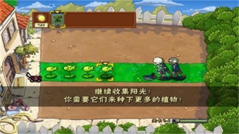 植物大战僵尸截图2