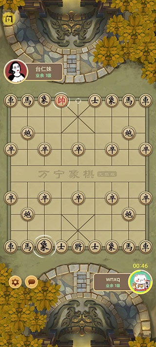 万宁象棋免广告版图2