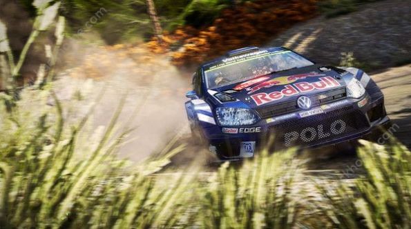 WRC7巴音布鲁克游戏截图