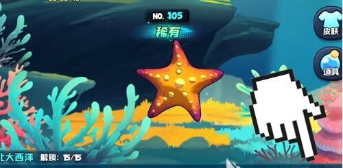 鱼吃鱼海星怎么样 鱼吃鱼海星介绍图1